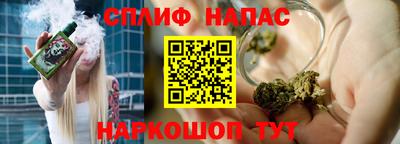 молекула духа Будённовск
