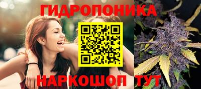 молекула духа Будённовск