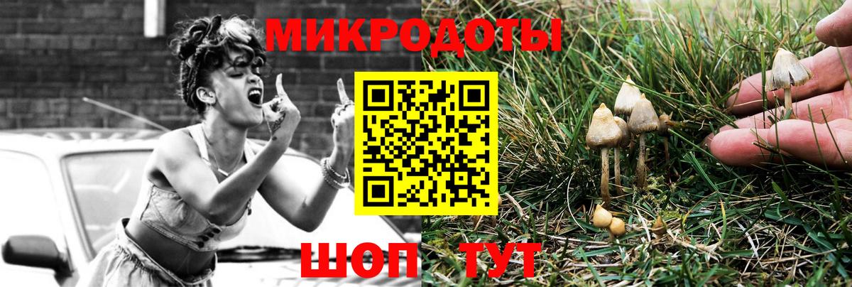 Кубинка  Галлюциногенные грибы прущие грибы  Вход с VPN 